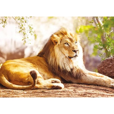 Nathan - Puzzle The King of the Savannah - 1 500 piese