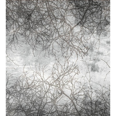 DIMEX MS-3-0386 vliesová fototapeta rozměry 225 x 250 cm