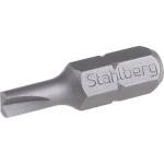 STAHLBERGH Бит stahlberg "5/32" 25 мм s2 18866.01 (18866.01)