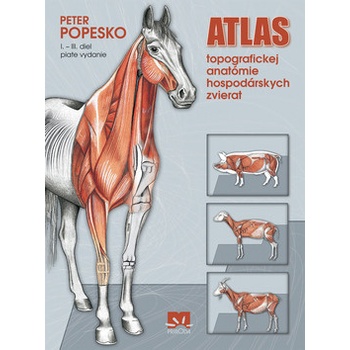 Atlas topografickej anatómie hospodárskych zvierat