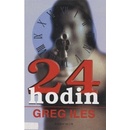 24 hodin