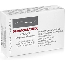 SkinMedical Dermomatrix anti-age výživa 20 kapsúl