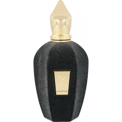 Xerjoff Vibe Collection Ouverture parfumovaná voda unisex 100 ml tester