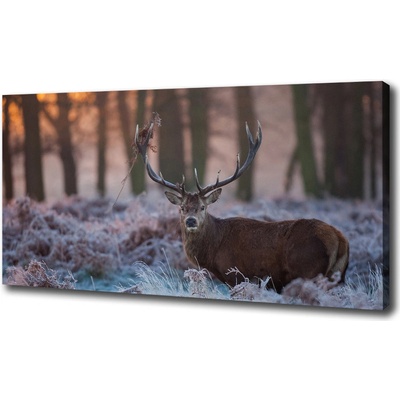 Foto obraz na plátne Jeleň východ slnka 100x50 cm