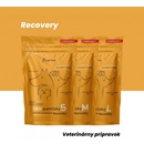 CUREPOINT CUREPOPINT CBD pamlsky Recovery L 100 g