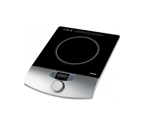Professor IV307