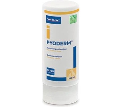 Pyoderm šampon 250 ml