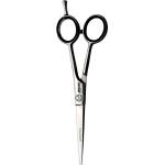 Jaguar Solingen White Line 4760 Satin Plus 6" Hair Scissors