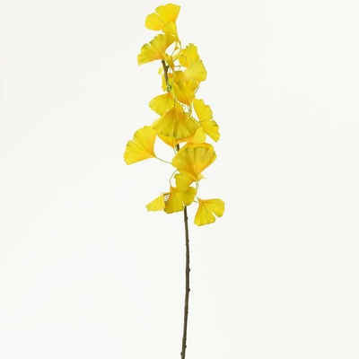 KONÁR GINKO 70CM ŽLTÝ