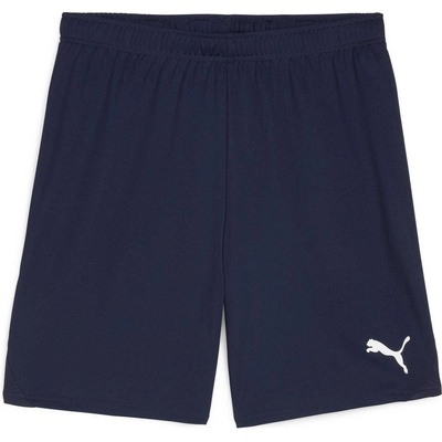 PUMA Teamgoal shorts m