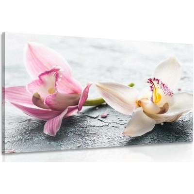 Obraz dva barevné květy orchideje - 150x100