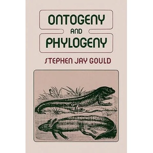 Ontogeny and Phylogeny | Stephen Jay Gould (2001)