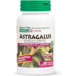NaturesPlus Astragalus 450 mg | Herbal Actives [60 капсули]