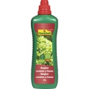FloraSelf Hnojivo na hortenzie Select 1 l