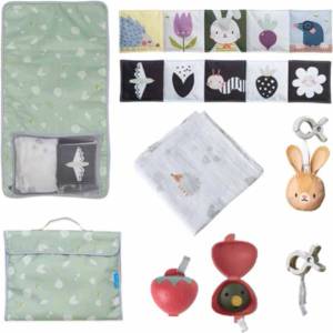Taf Toys Комплект за игра на открито Taf Toys (TT13135)
