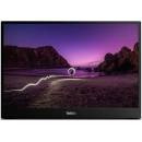Lenovo ThinkVision M16