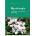 Phytotherapie