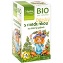 Apotheke Bio ovocný s meduňkou 20 x 2 g