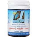 Doplňky stravy TCM Herbs Vodopád z modré laguny 100 tablet