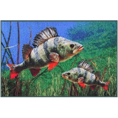 Rohožka Delphin 3D Okouni