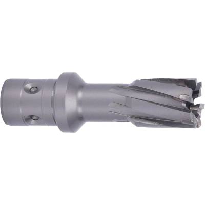 !!!! ABSE N-CA-F18-0190035