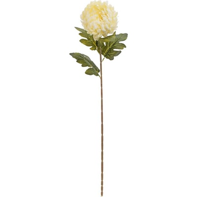 KS CHRYZANTÉMA KRÉM 75CM