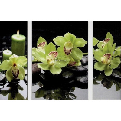 Kameny s orchideji 1 deska 20x50-40x50-20x50