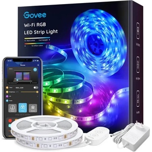 Govee H6110