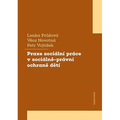 Praxe sociální práce v sociálně-právní ochraně dětí - Petr Vojtíšek Věra, Novotná Lenka, Průšová