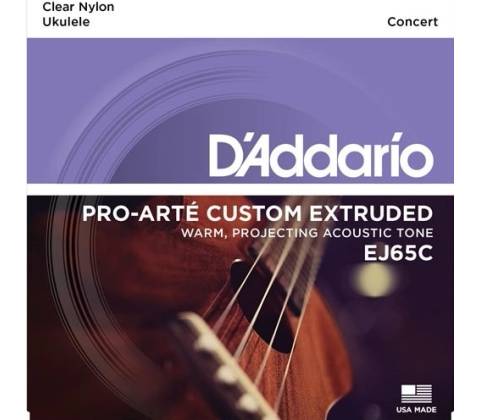 D'Addario EJ65C