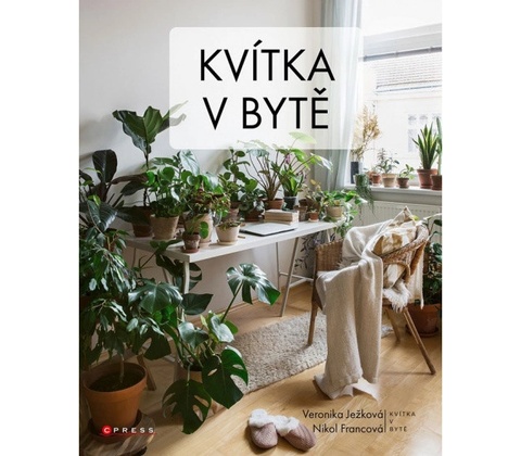Kvítka v bytě