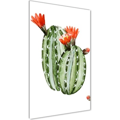 Vertikálny foto obraz sklenený Kaktusy 50x100 cm