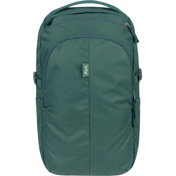 Baagl Dash Max Green 30l