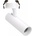 MaxLight H0119