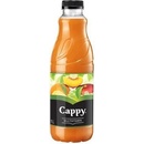 Cappy multivitamin 50% 1l