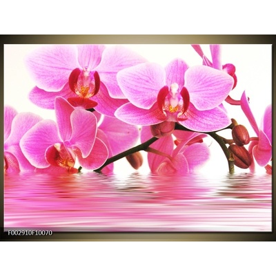 Obraz orchidej