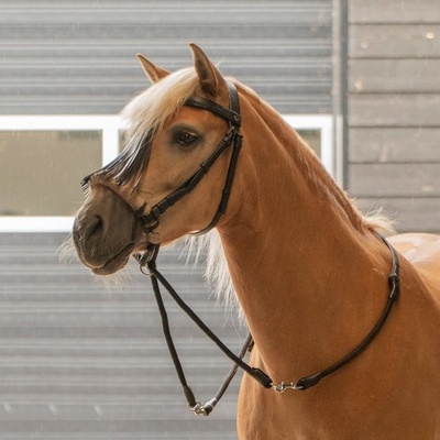 F.R.A. Uzdečka bezudidlová Tinver hnědá – Zboží Mobilmania