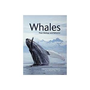 Whales | Phillip Hammond, Sonja Heinrich, Sascha Hooker (ISBN: 9781501716560)