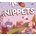 Nippets: A Hidden Object Game