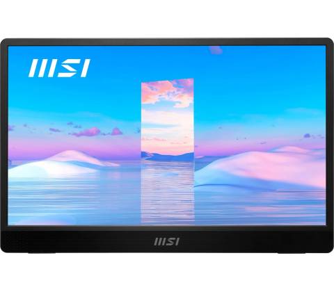 MSI Pro MP161DE