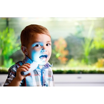 Image 1 of InnoGIO GIOGiraffe