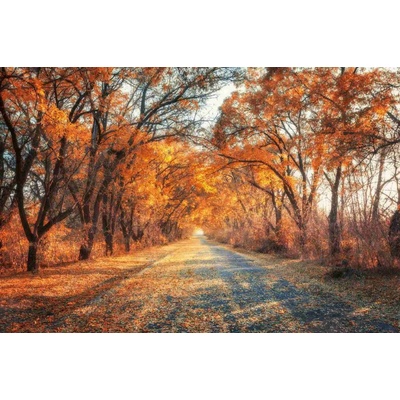 Dimex MS-5-1891 Vliesová fototapeta Cesta podzimní uličkou rozměry 375 x 250 cm – Hledejceny.cz