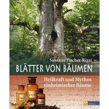 Blätter von Bäumen