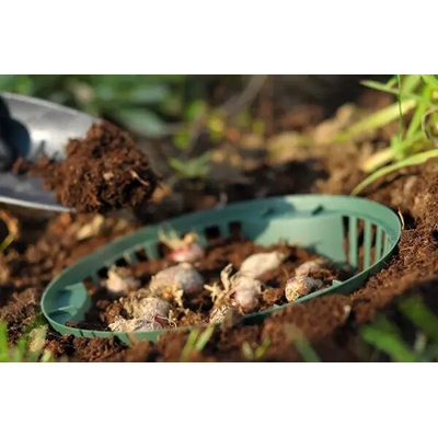 Prosperplast Košík na cibuľoviny ONION 20 cm zelený