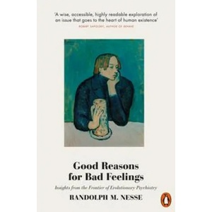 Good Reasons for Bad Feelings (ISBN: 9780141984919)