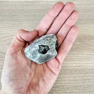 Nefertitis Obsidián Apačská slza v matrixu USA 59 NF64431 - cca 1,5 cm, 78,7 g