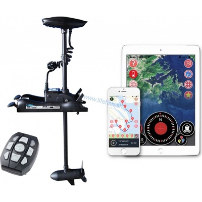 Haswing Cayman-B 55LB