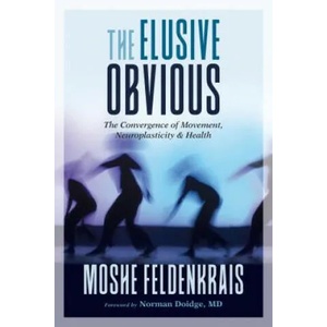 Elusive Obvious (2019)