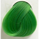 Farby na vlasy La Riché Directions Spring Green