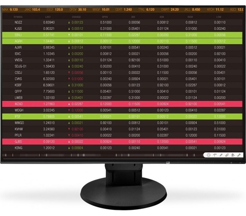 Eizo EV2456